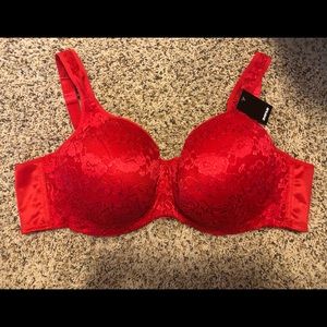 Plus Size Bra